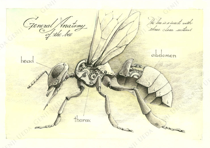 『機械虫　ハチ』2013年　素材：紙／鉛筆／ボールペン／水彩／■257×170mm